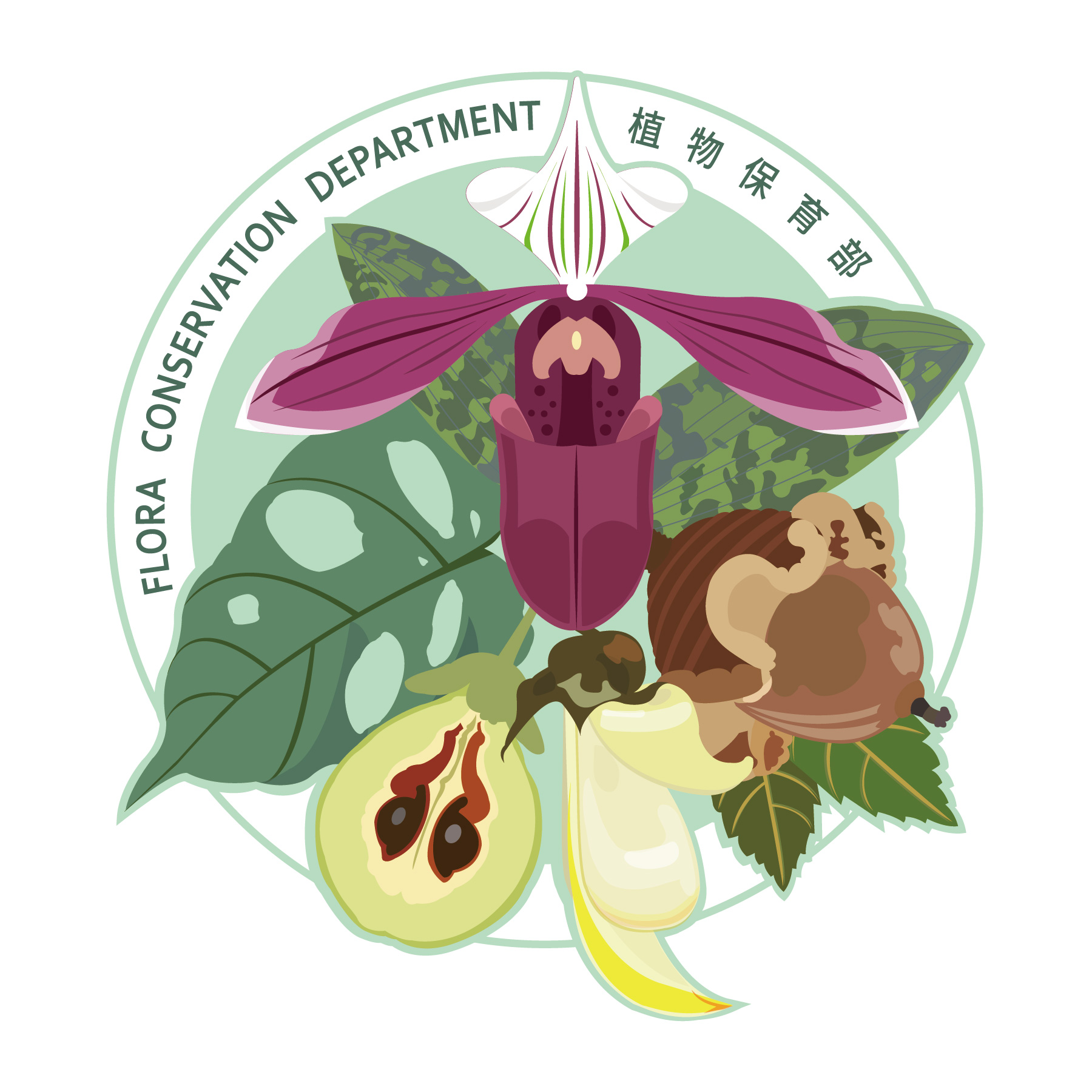 Flora Conservation Department