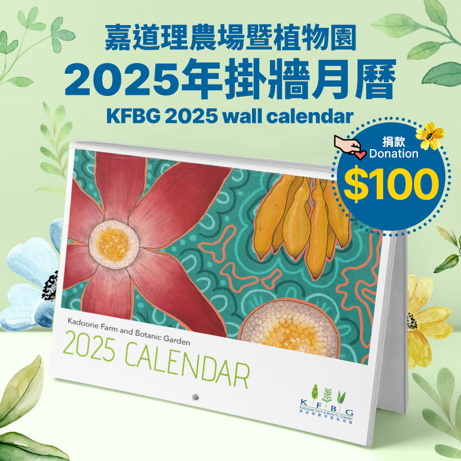 【一本月曆，雙重意義】2025年限量版掛牆月曆：捐款满 100 元將會獲贈一本