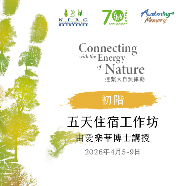 愛樂華博士｜初階｜五天住宿工作坊 2026