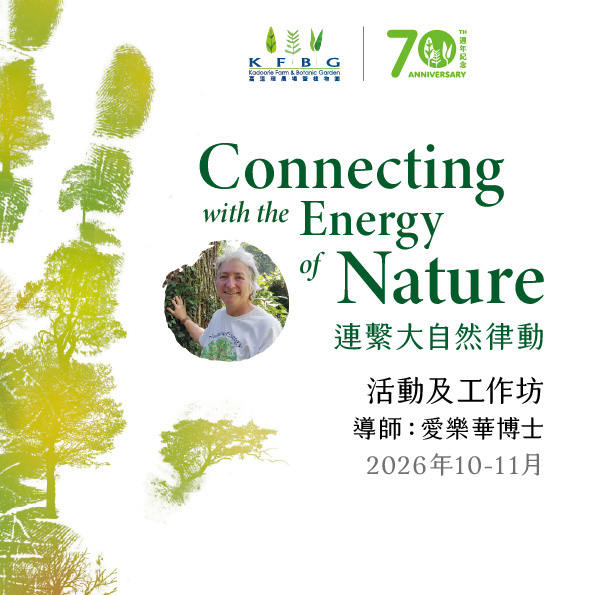 愛樂華博士｜連繫大自然律動｜活動及工作坊 2026 秋季