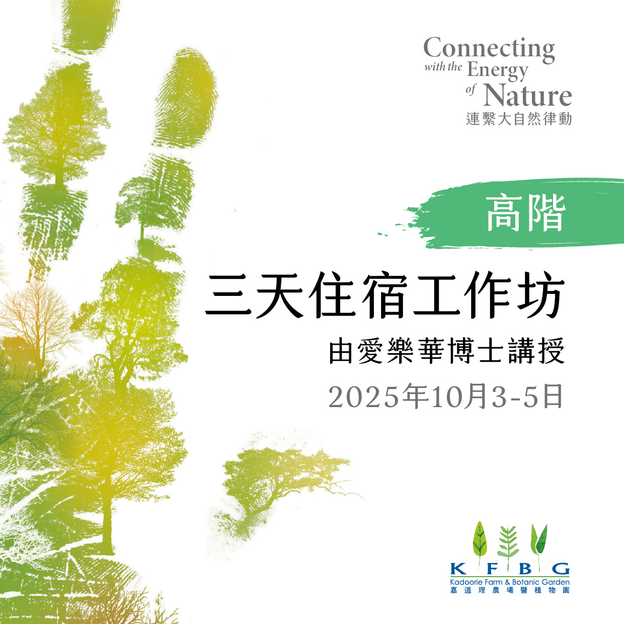 愛樂華博士｜高階｜三天住宿工作坊 2025