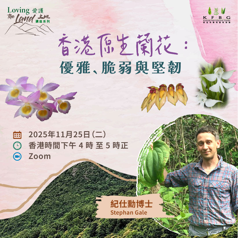 愛護土地 講座系列 | 香港原生蘭花：優雅、脆弱與堅韌