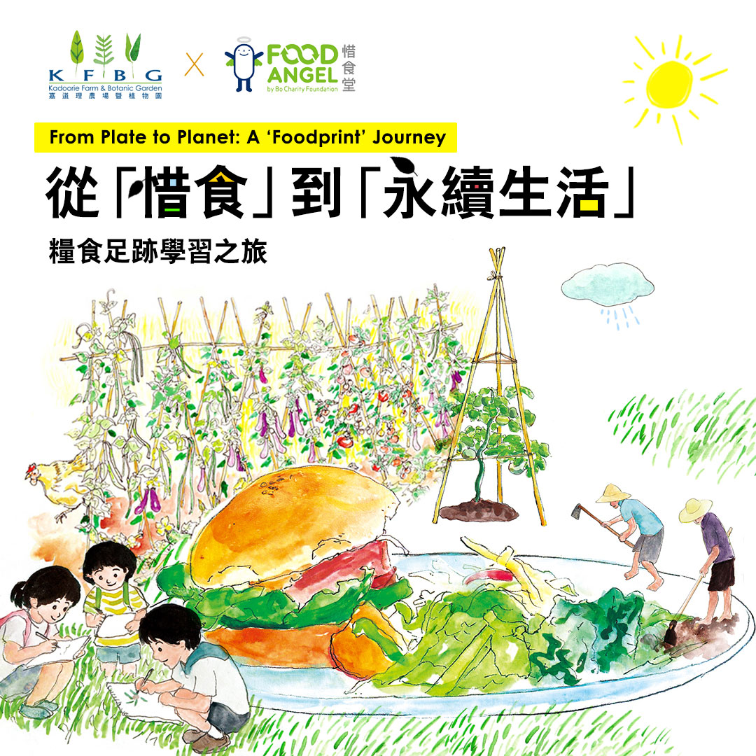 From Plate to Planet: A ‘Foodprint’ Journey