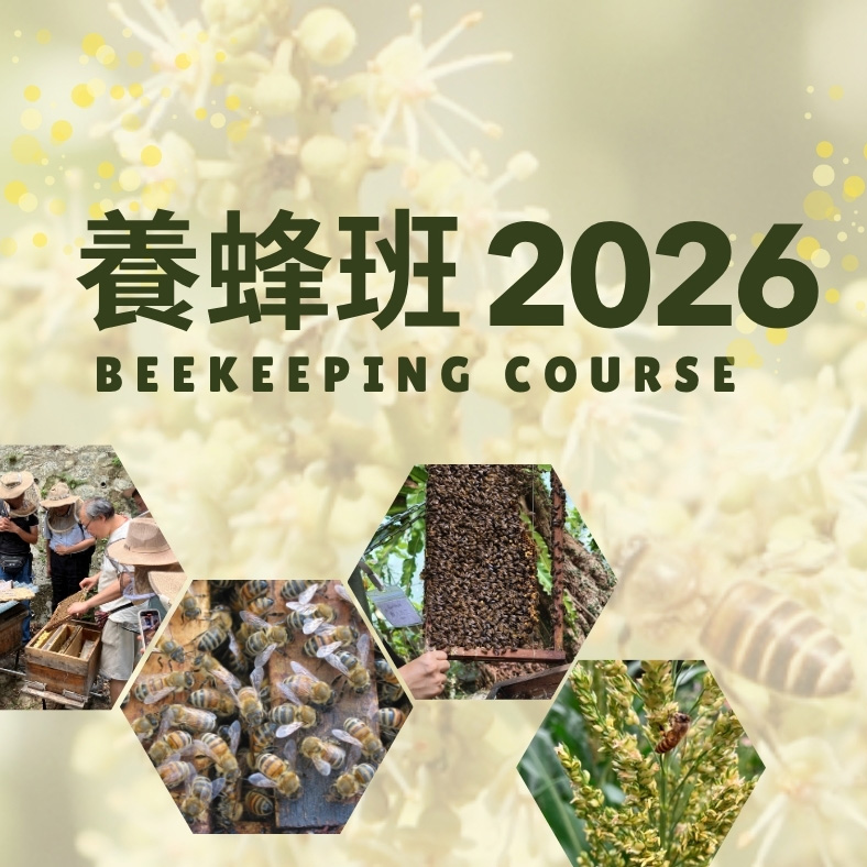 養蜂班 2026
