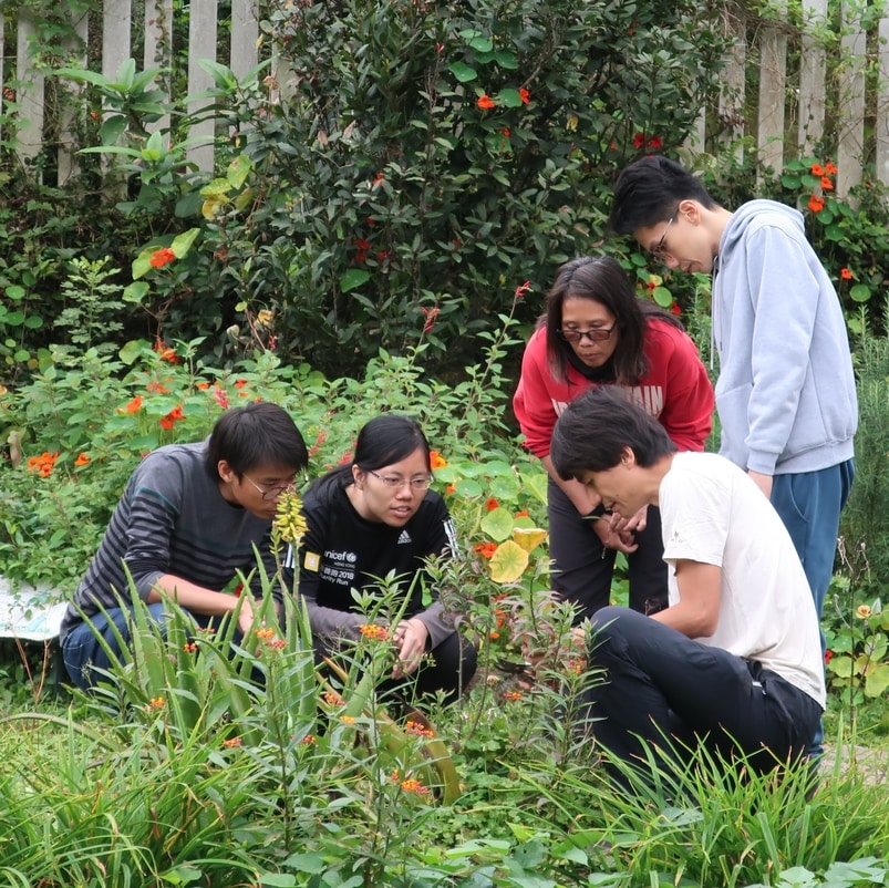 Planting Vegetables in synchrony with the seasons of the year