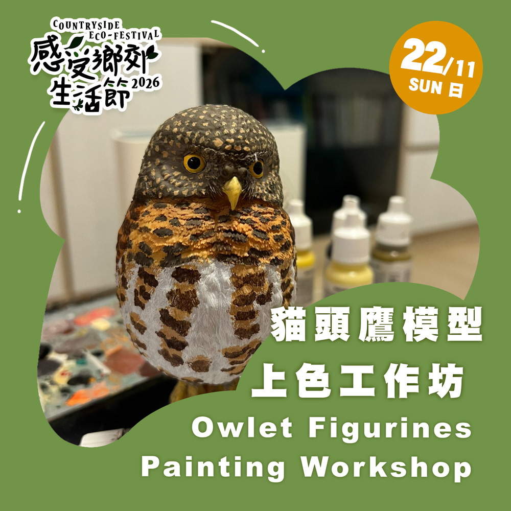 Countryside Eco-festival 2026: Owlet figurines painting workshop
