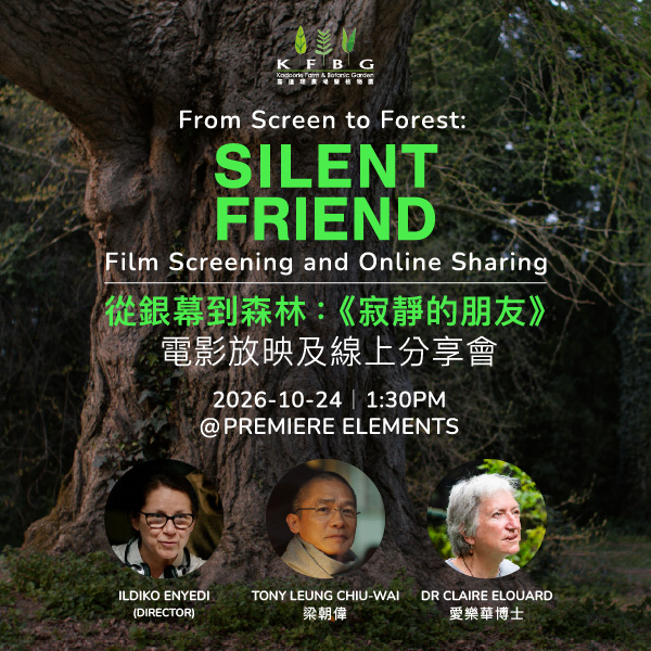 From Screen to Forest｜Silent Friend Film Screening and Online Sharing 2026 Autumn