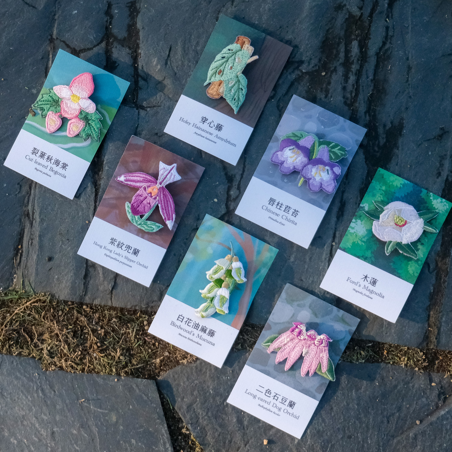 意．象｜KFBG x Littdlework 香港原生植物刺繡別針