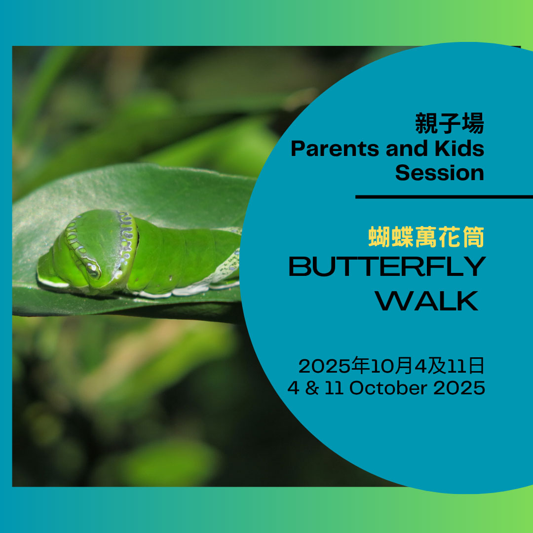 Eco-Tour – Butterfly Walk (Autumn Session)(Parents and Kids Sessions) 2025