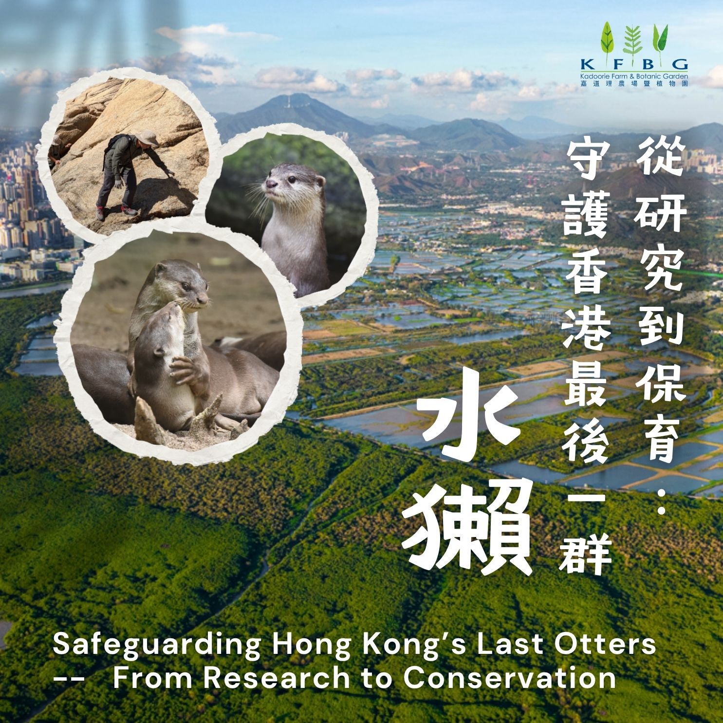 從研究到保育：守護香港最後一群水獺