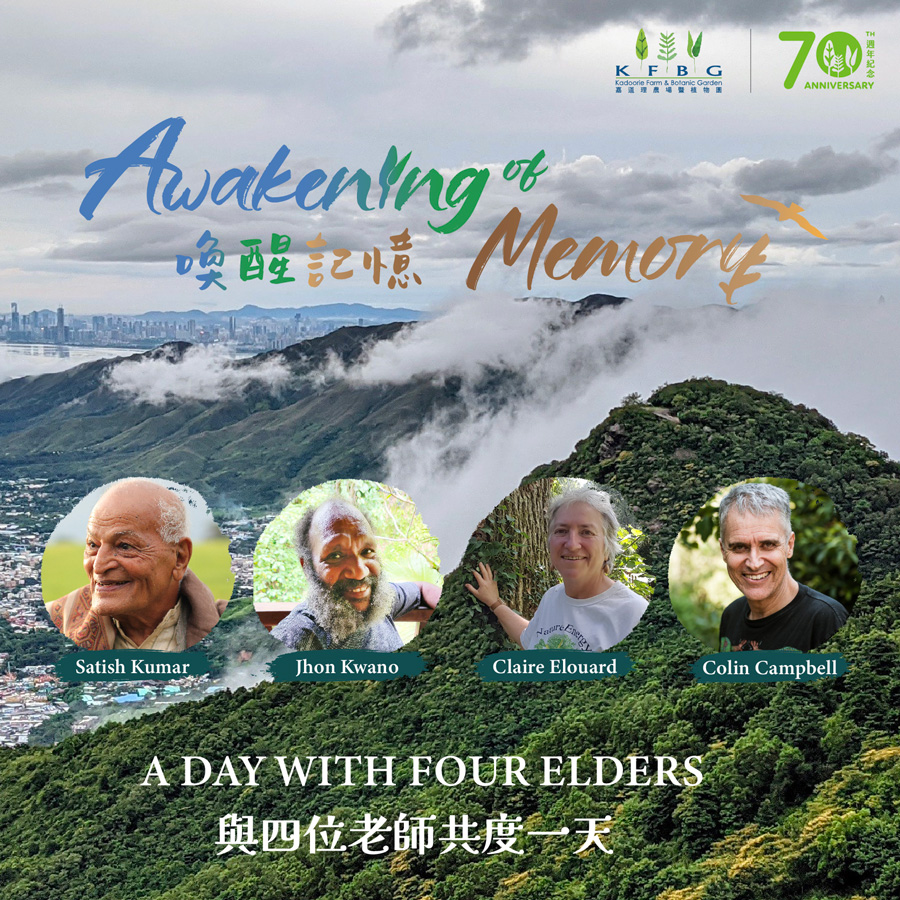 Awakening of Memory – A Day with Four Elders