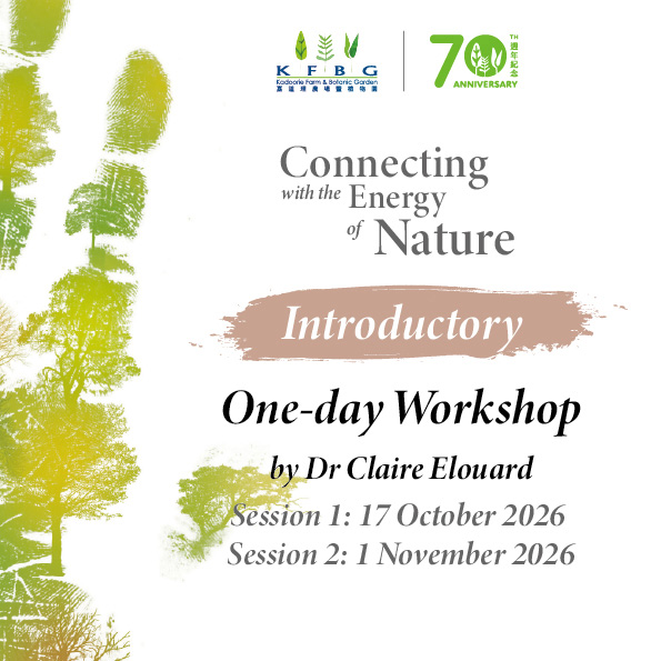 Dr Claire Elouard｜Introductory｜One-day Workshop 2026 Autumn