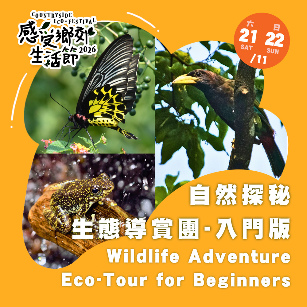Countryside Eco-festival 2026: Wildlife Adventure Eco-Tour for Beginners