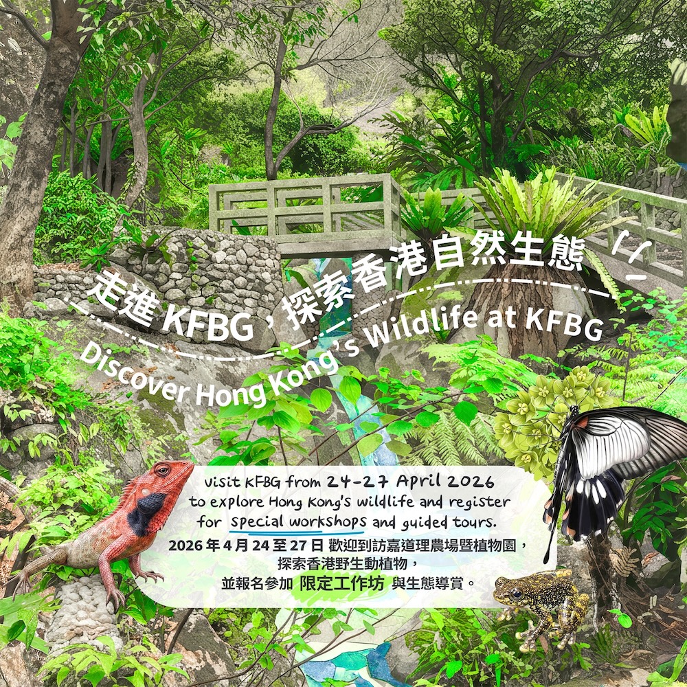 Discover Hong Kong’s Wildlife at KFBG