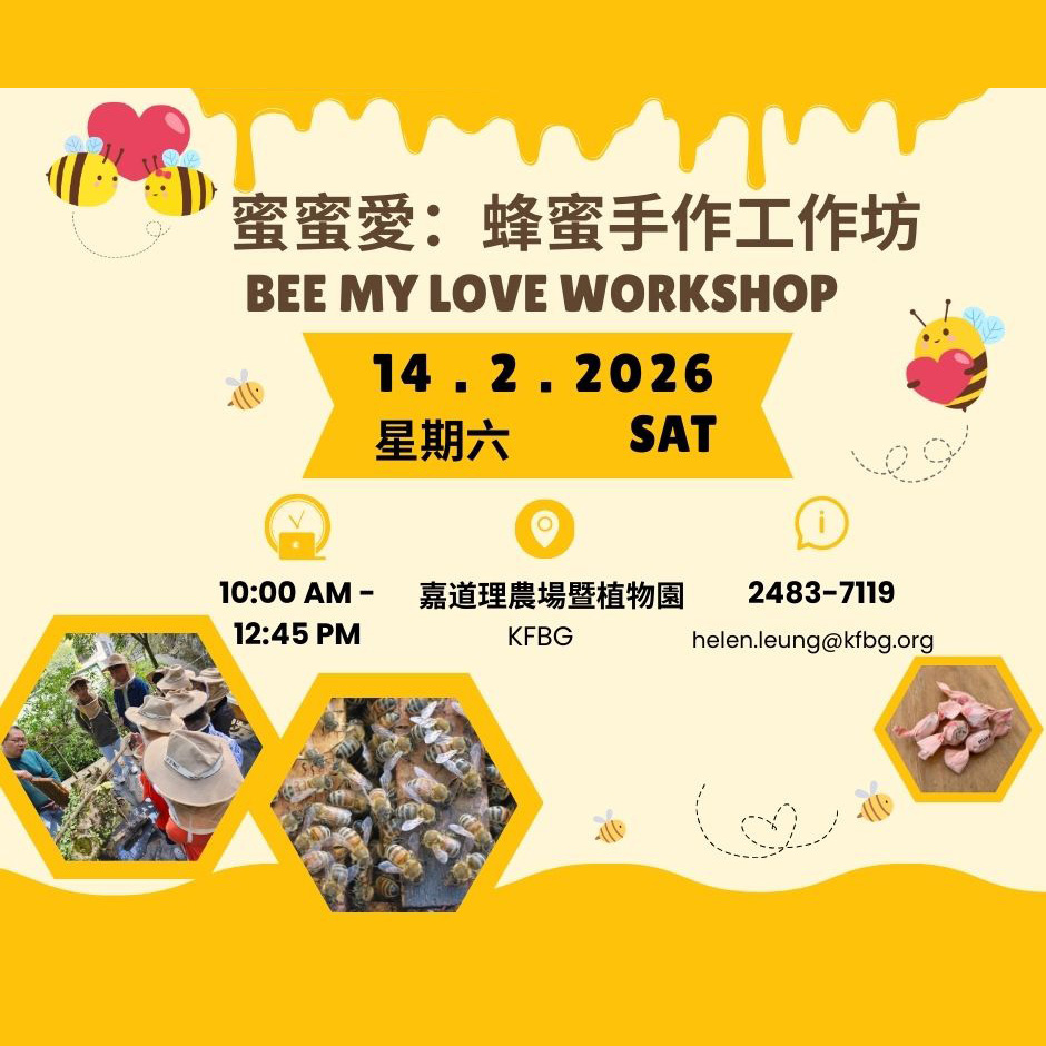 蜜蜜愛：蜂蜜手作工作坊