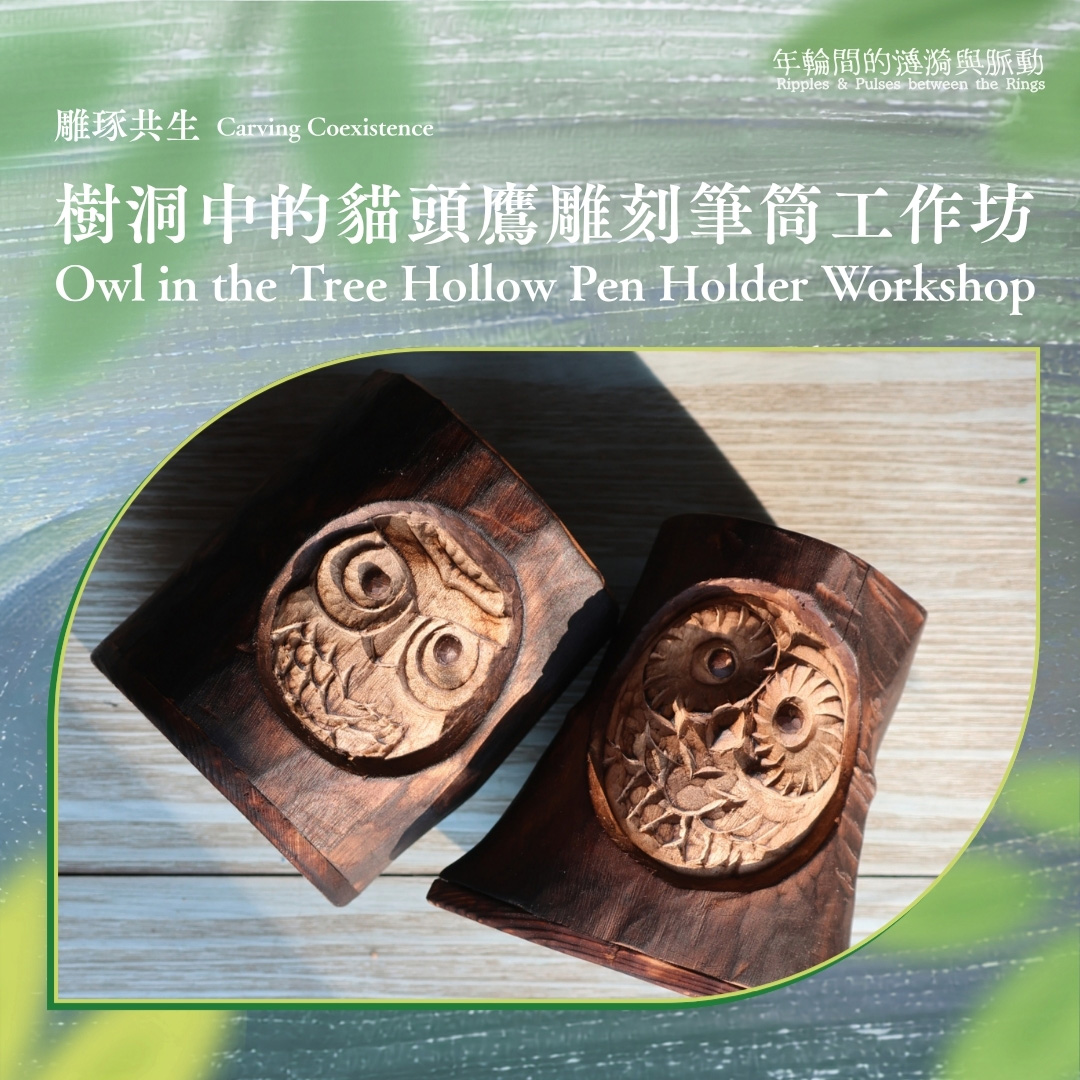 Ripples & Pulses Between the Rings | Carving Coexistence: Owl in the Tree Hollow Pen Holder Workshop