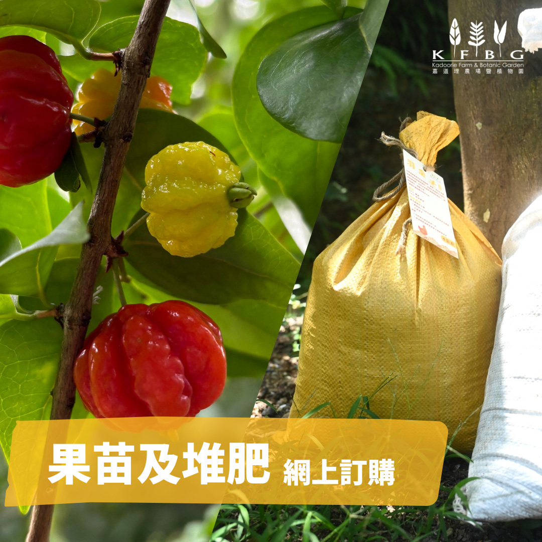果苗訂購