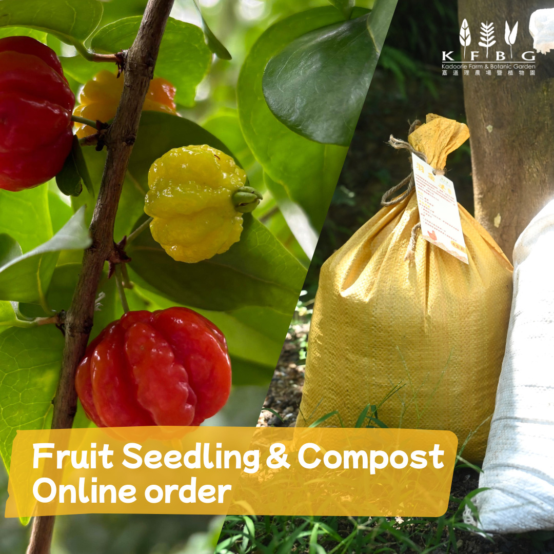 Fruit Seedling Order
