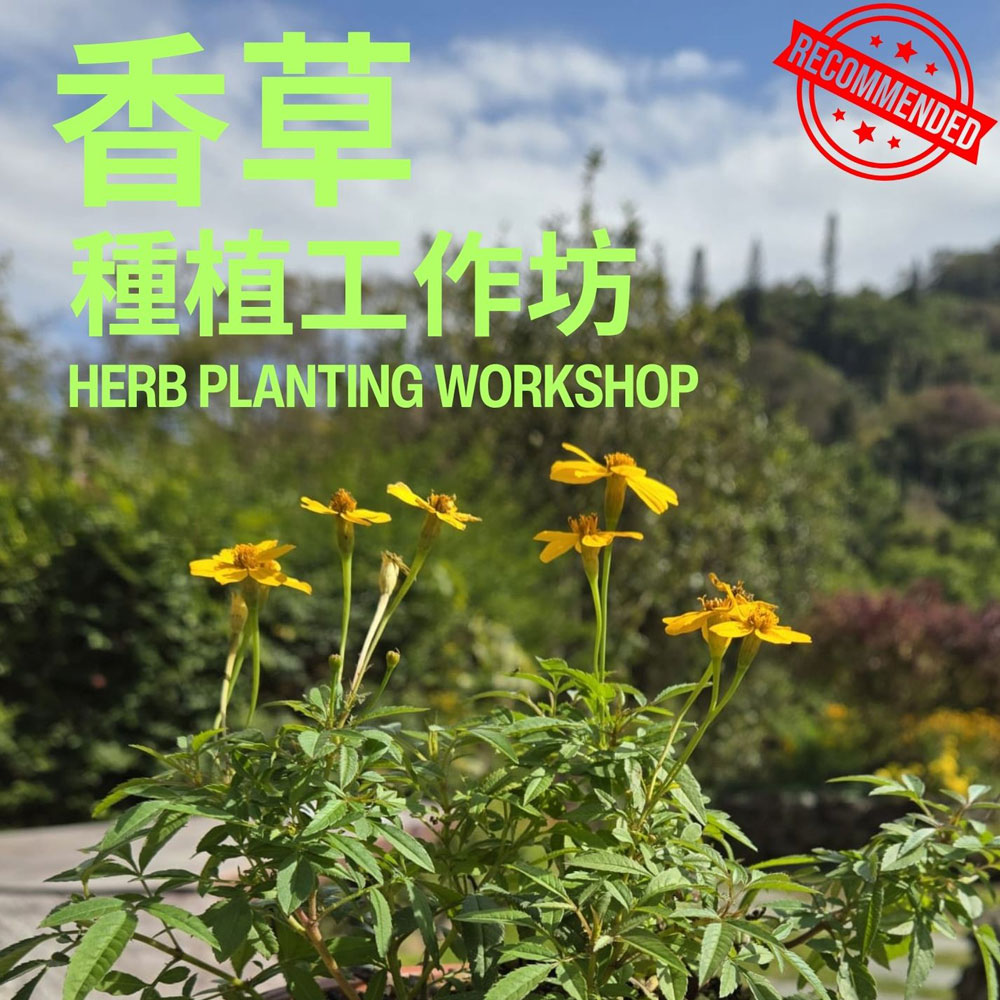 Herb Planting Workshop