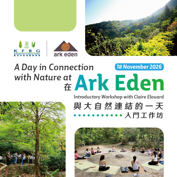 A Day in Connection with Nature at Ark Eden｜ Introductory Workshop with Claire Elouard 2026 Autumn