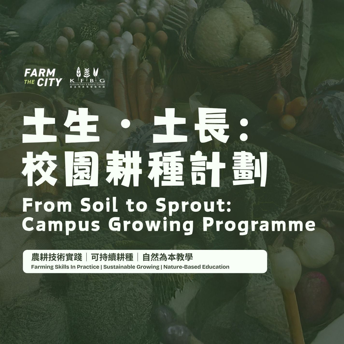 From Soil to Sprout: Campus Growing Programme