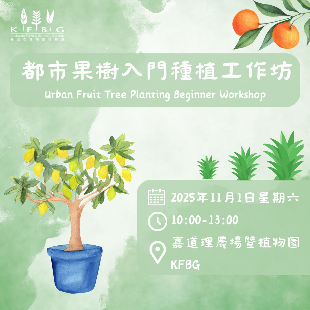 都市果樹入門種植工作坊