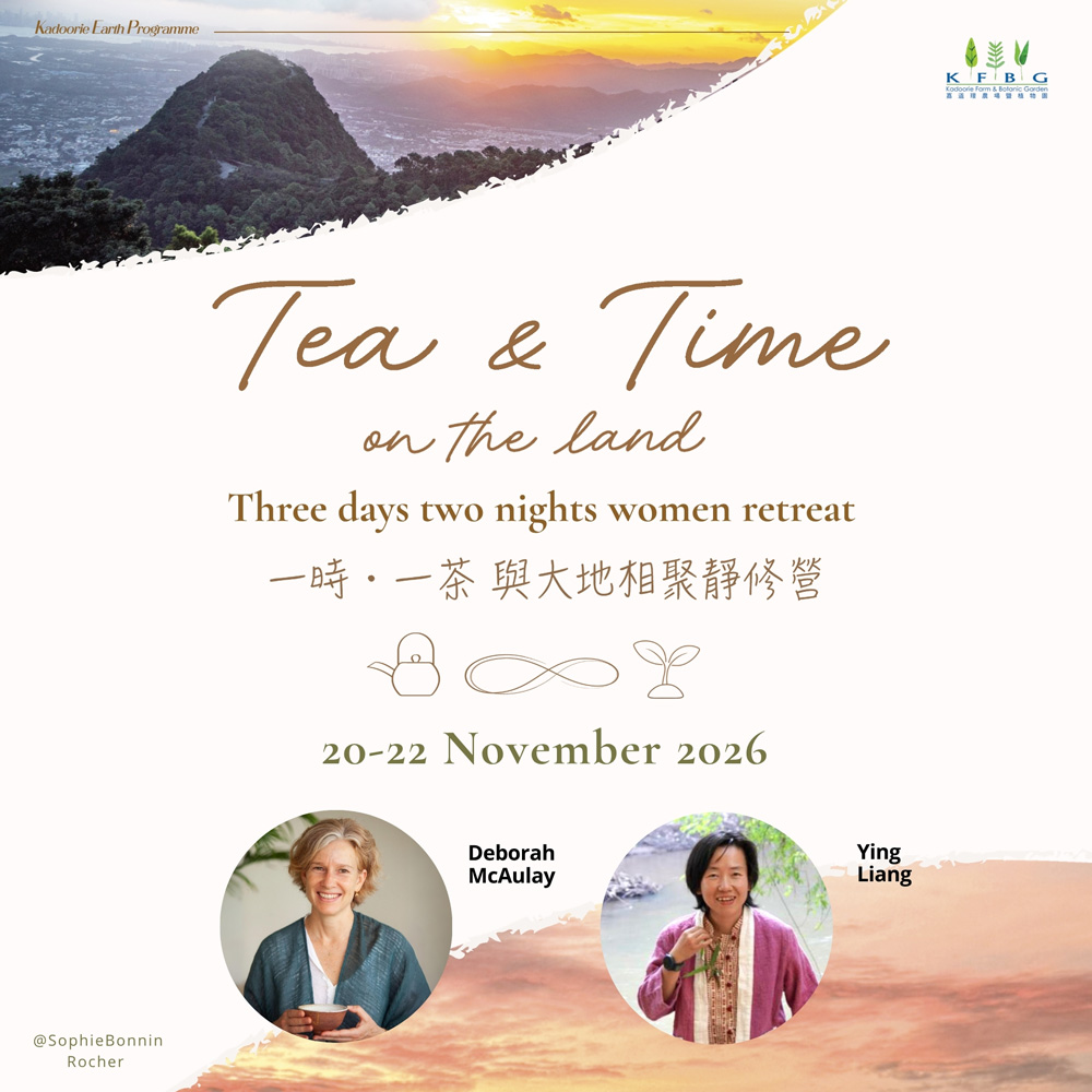 Tea & Time on the land — Three Days Two Nights Women Retreat