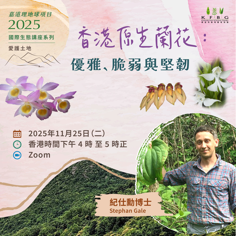 2025 生態講座系列 | 愛護土地 – 香港原生蘭花:優雅、脆弱與堅韌