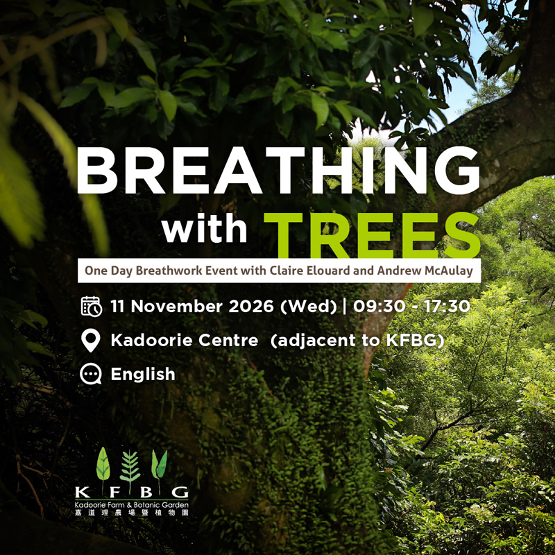 Breathing with Trees – One Day Breathwork Event with Claire Elouard and Andrew McAulay 2026