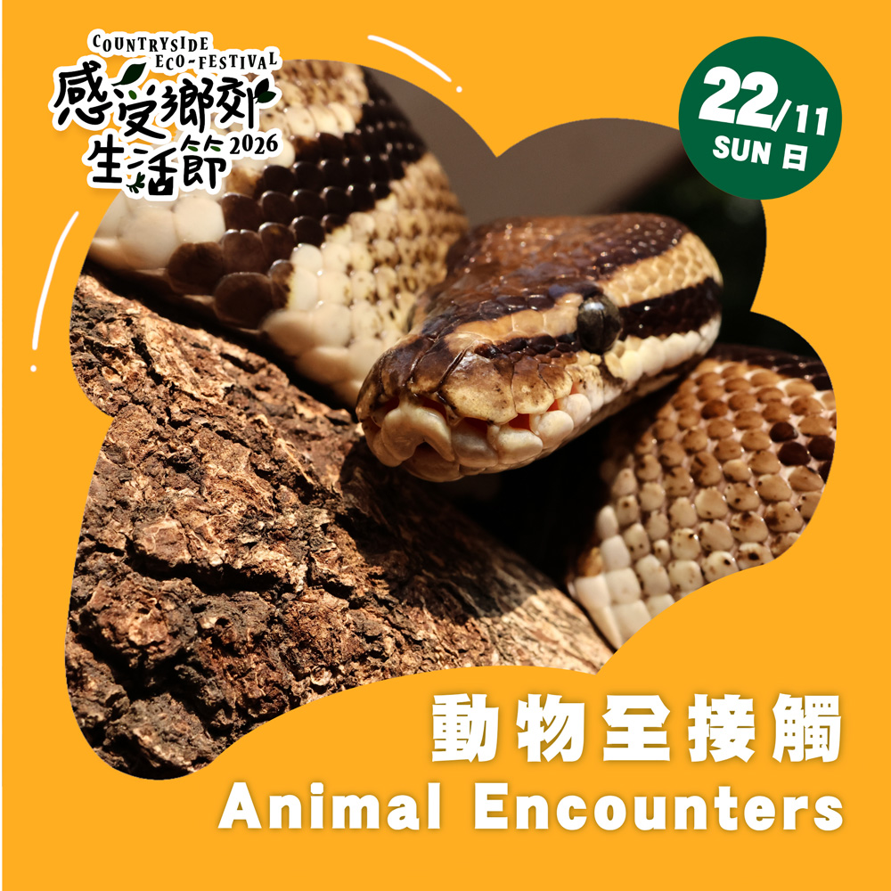 Countryside Eco-festival 2026: Animal Encounters