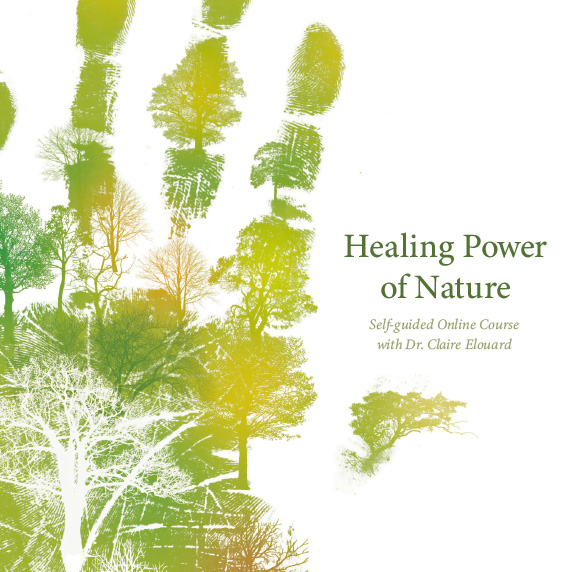 healing power of nature essay