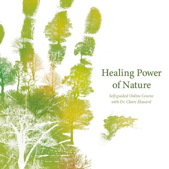 the healing power of nature essay