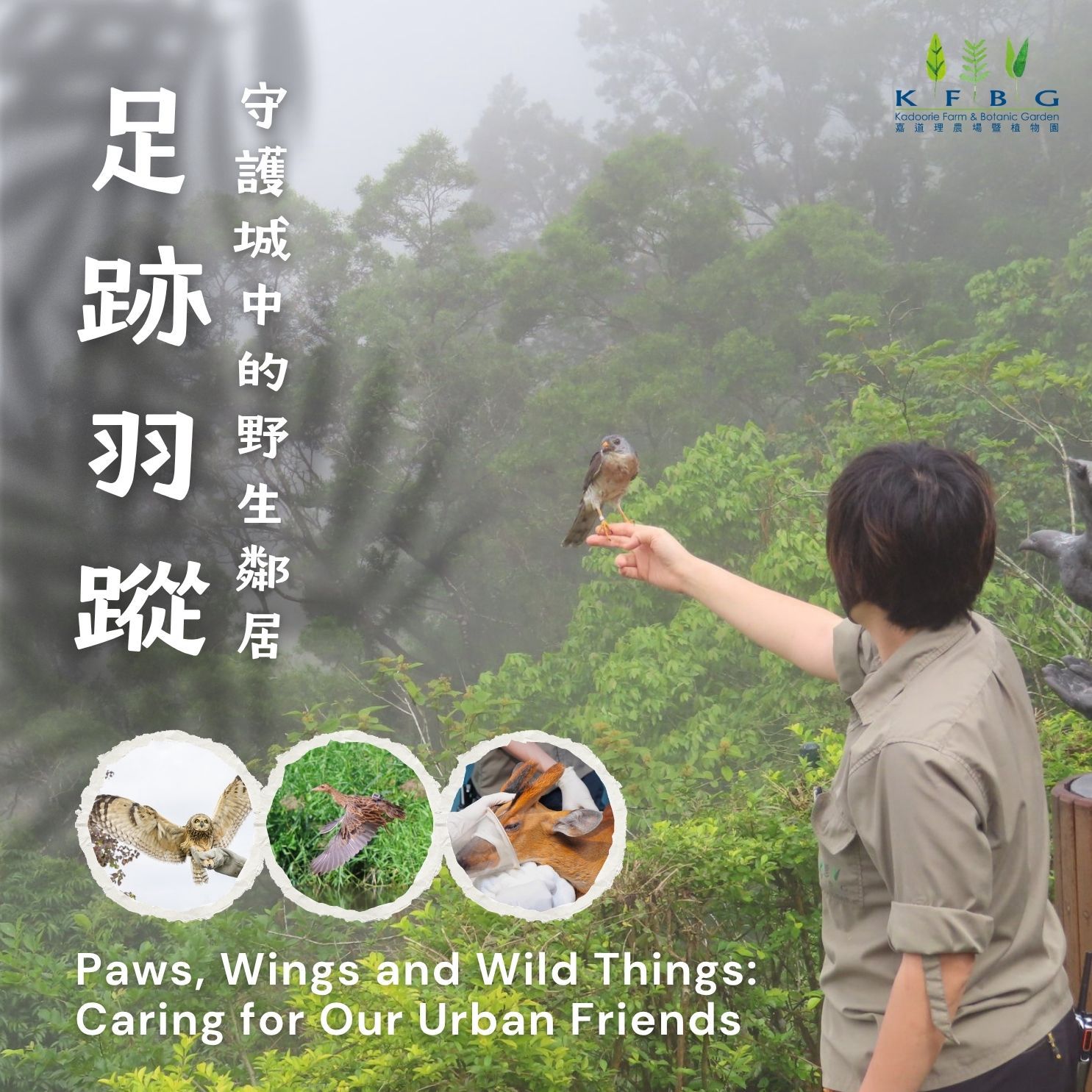 Paws, Wings and Wild Things: Caring for Our Urban Friends