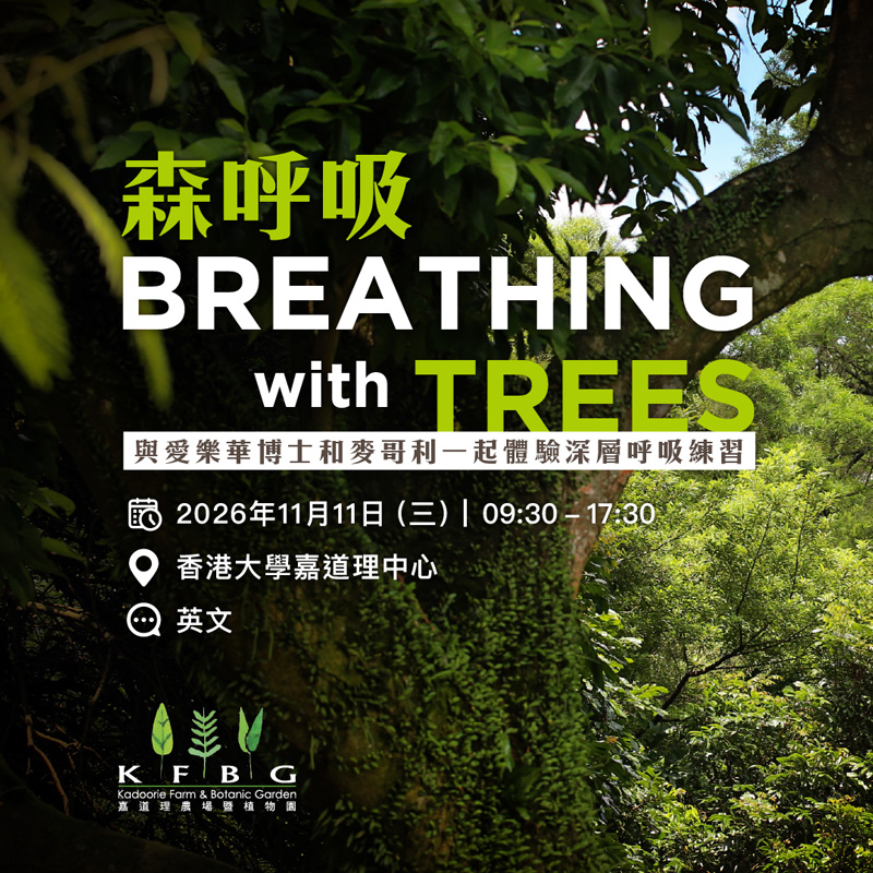 森呼吸 – 與愛樂華博士和麥哥利一起體驗深層呼吸練習（ Breathwork）2026