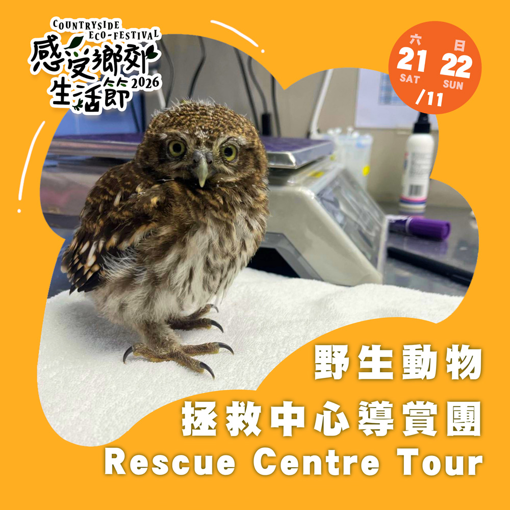 感受鄉郊生活節2026 : 野生動物拯救中心導賞團