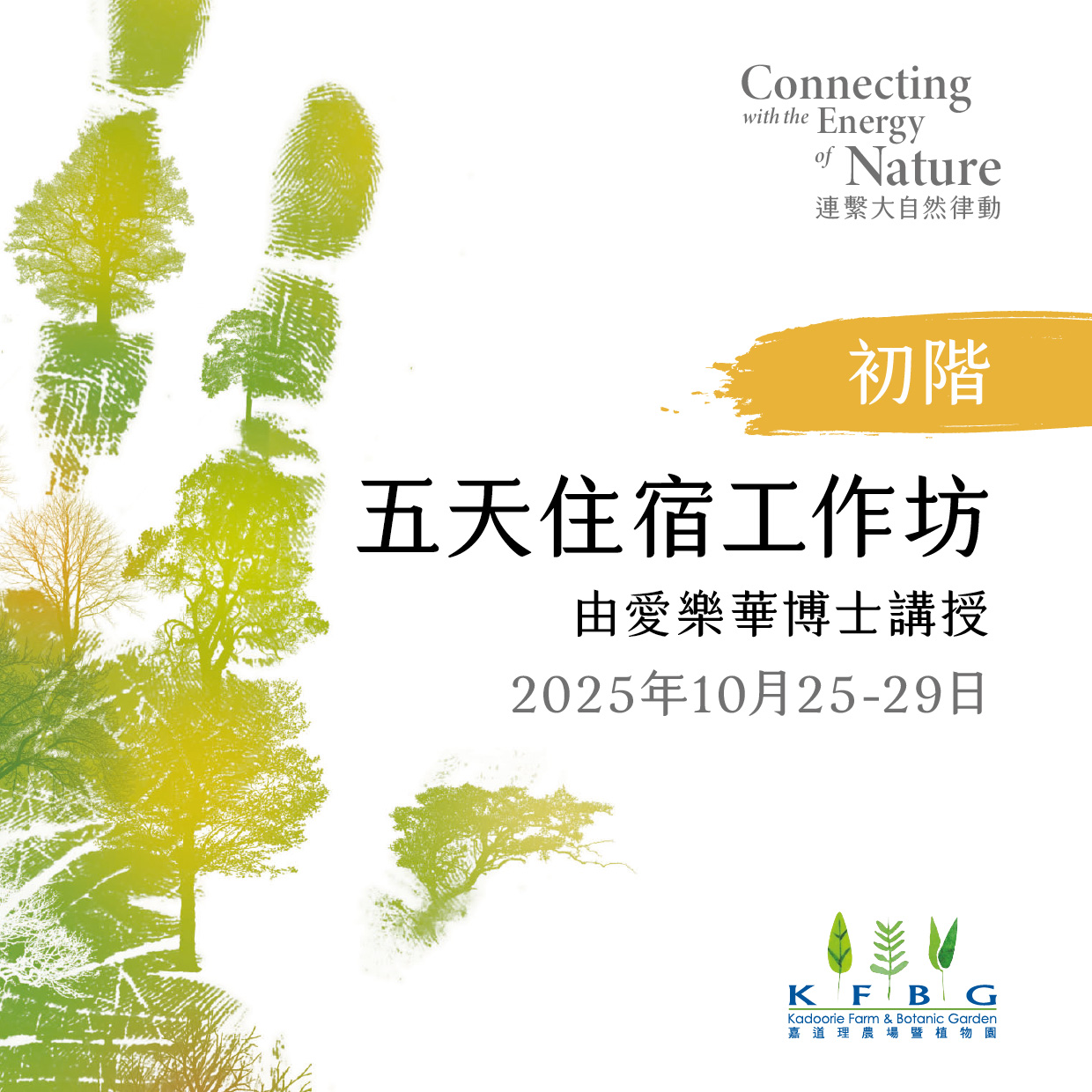 愛樂華博士｜初階｜五天住宿工作坊 2025