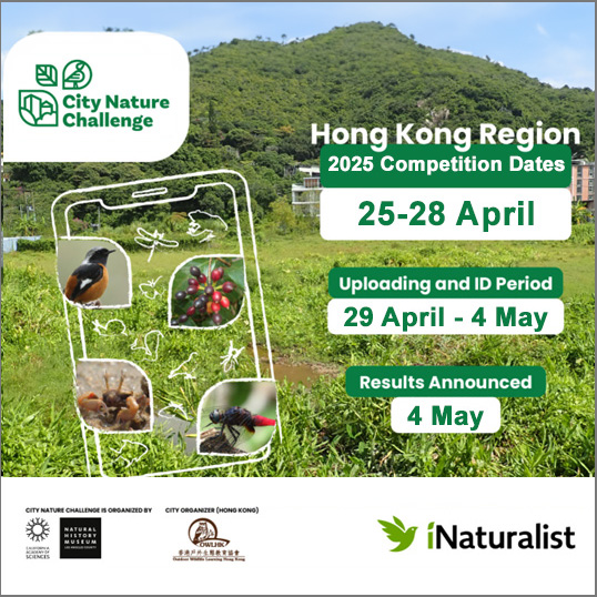 City Nature Challenge 2025