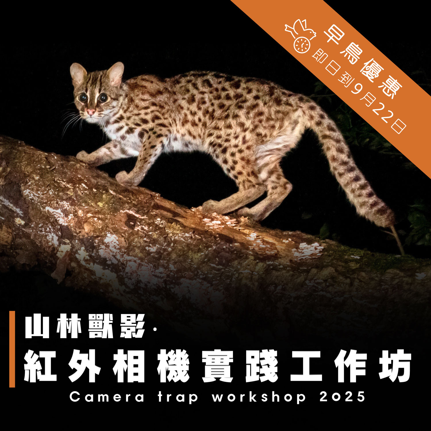山林獸影 ‧ 紅外相機實踐工作坊