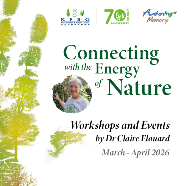 Dr Claire Elouard｜Connecting with the Energy of Nature | Workshops and Events 2026