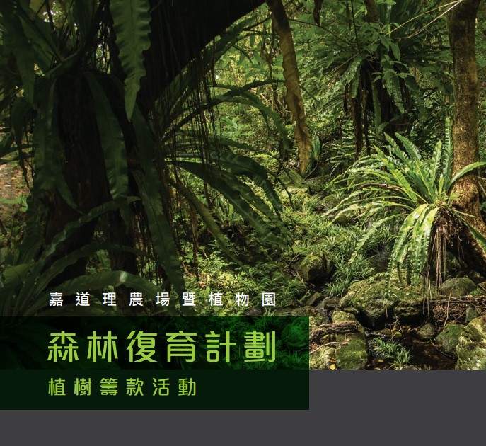 森林復育計劃