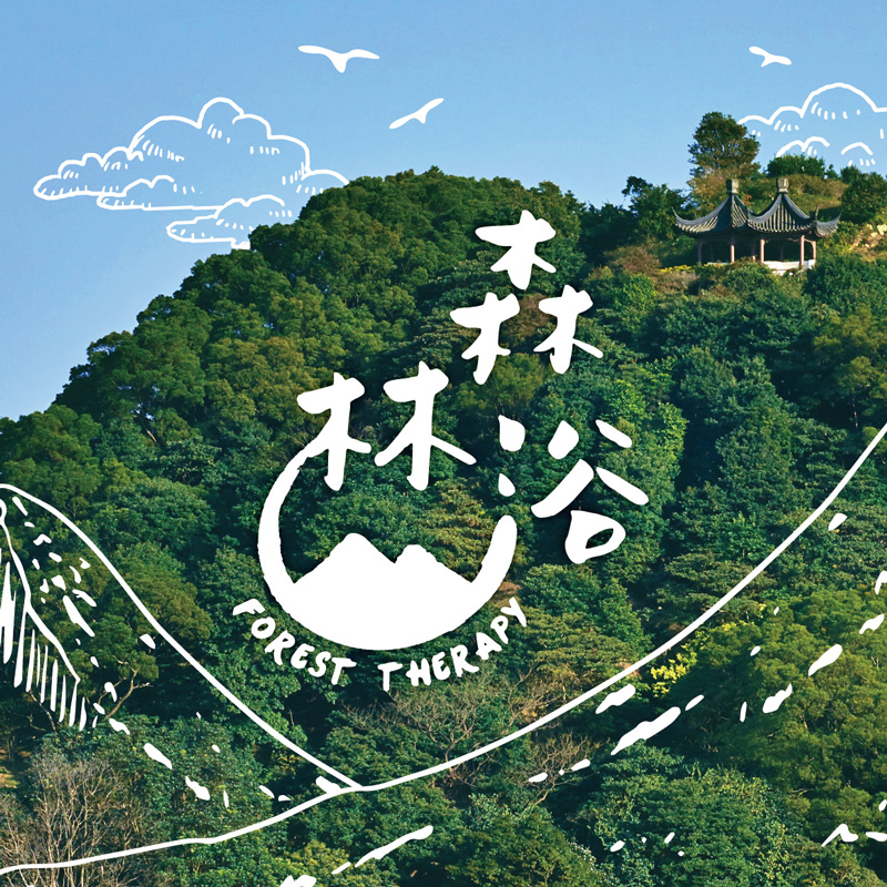 森林浴 | 一趟療癒旅程 2026/27