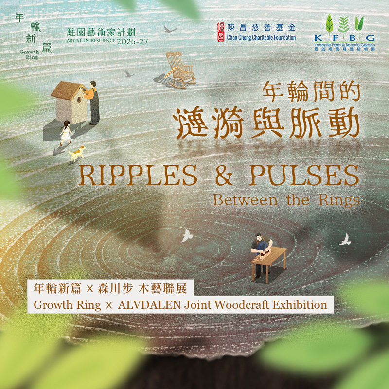 年輪間的漣漪與脈動｜年輪新篇 x 森川步 木藝聯展