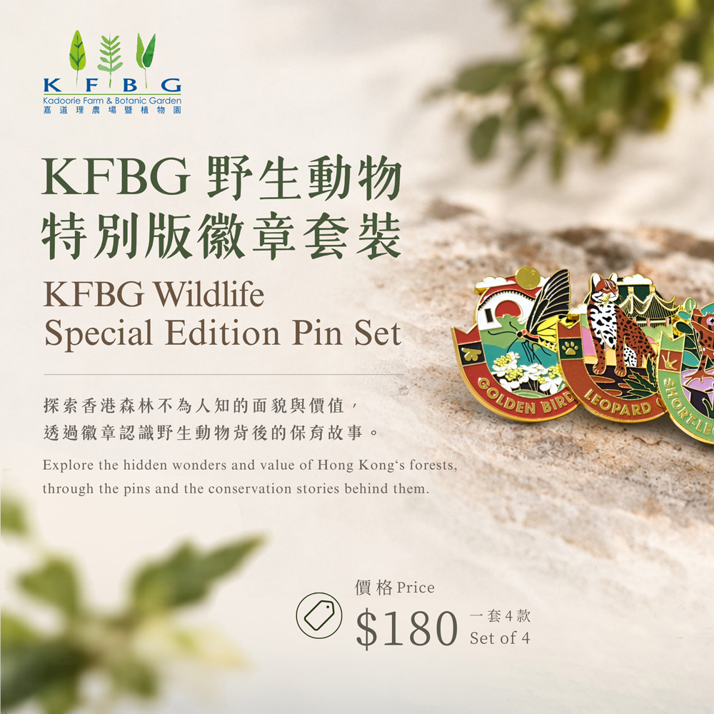 KFBG野生動物特別版徽章套裝