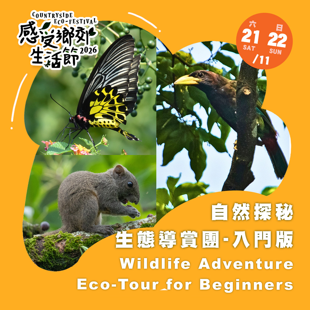 Countryside Eco-festival 2026: Wildlife Adventure Eco-Tour for Beginners