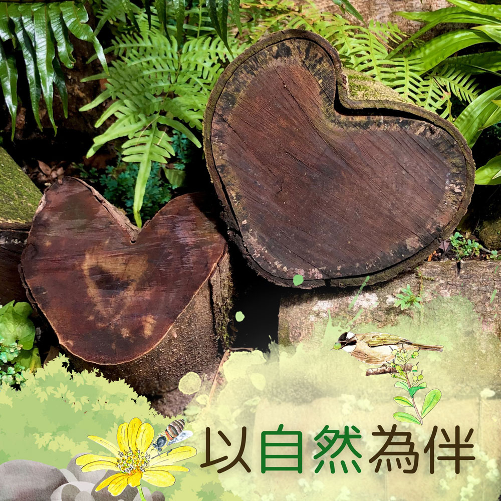 以自然為伴：社區身心支援計劃