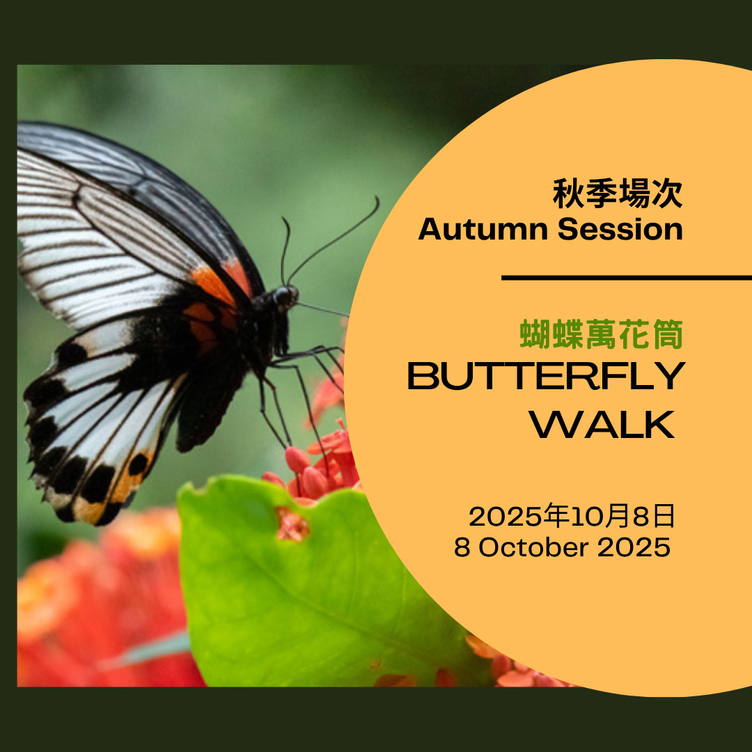 Eco-Tour – Butterfly Walk (Autumn Session) 2025