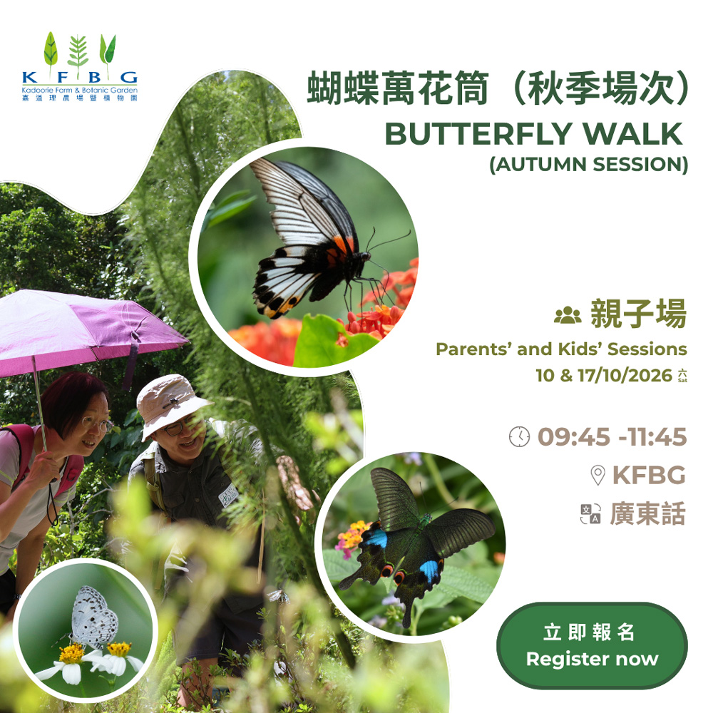 Eco-Tour – Butterfly Walk (Parents and Kids Sessions) 2026