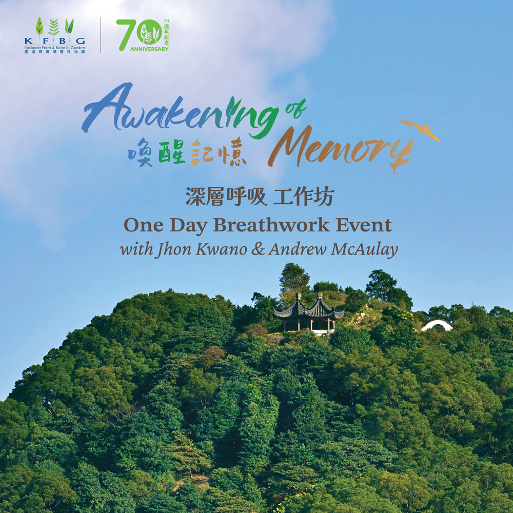 喚醒記憶 — 深層呼吸（Breathwork）工作坊
