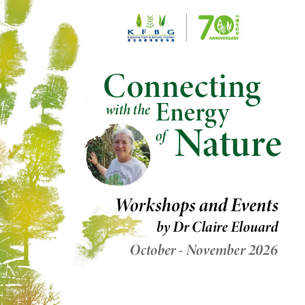 Dr Claire Elouard｜Connecting with the Energy of Nature | Workshops and Events 2026 Autumn