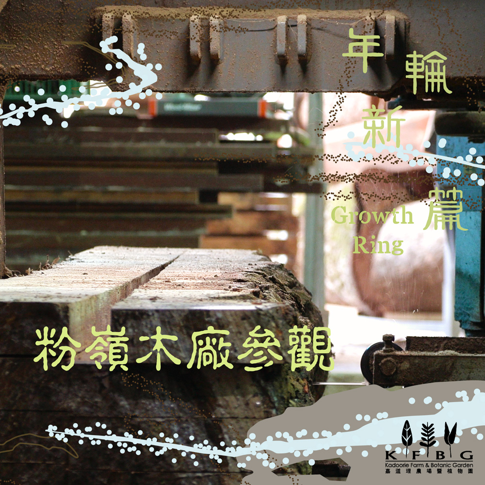 年輪新篇：木藝傳承與共創｜粉嶺木廠參觀